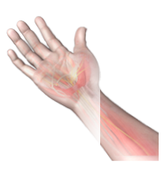 Restoring Hand Function after Spinal Cord
